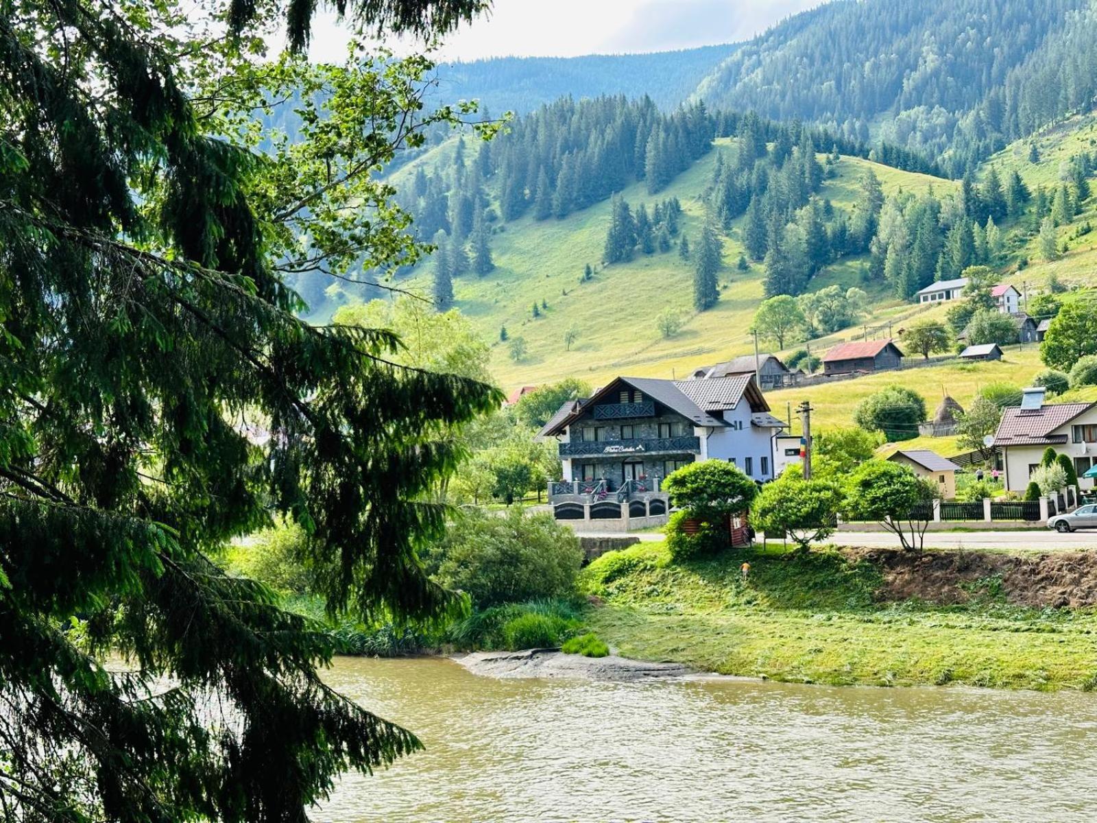 Piatra Codrilor Hotel Dorna-Arini Buitenkant foto